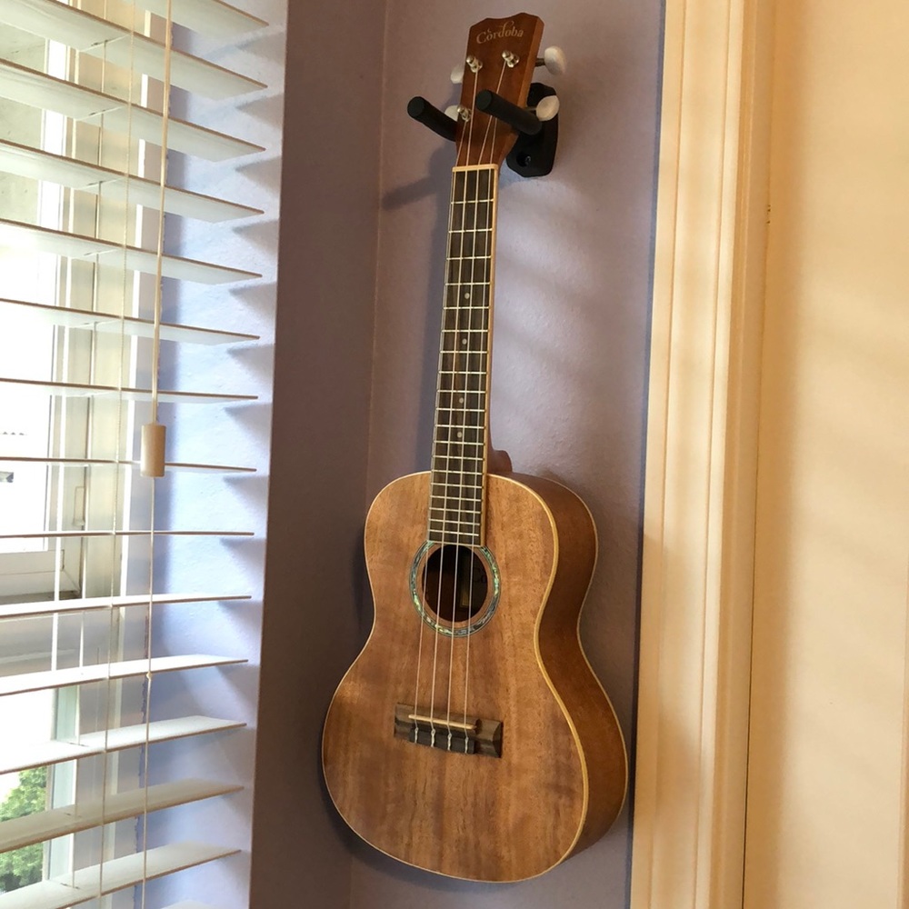 Ukulele/Guitar Wall Hanger